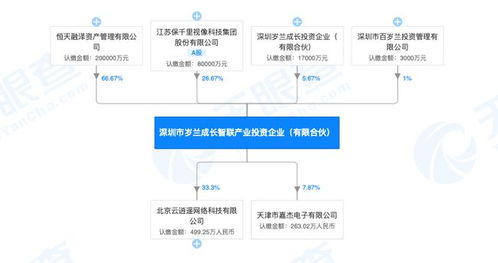 百岁兰投资失联与监管漏洞下的企业风险警示